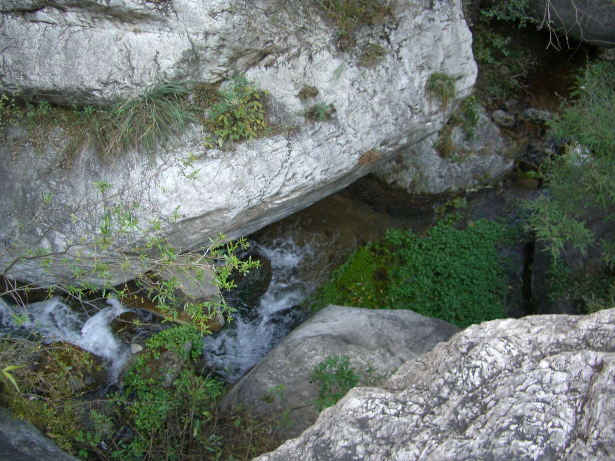 白羊沟自然风景区       
