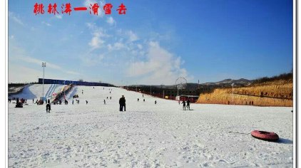 阳泉桃林沟滑雪场门票