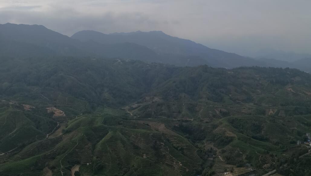 武夷山人口有多少_武夷山纪念币有什么用
