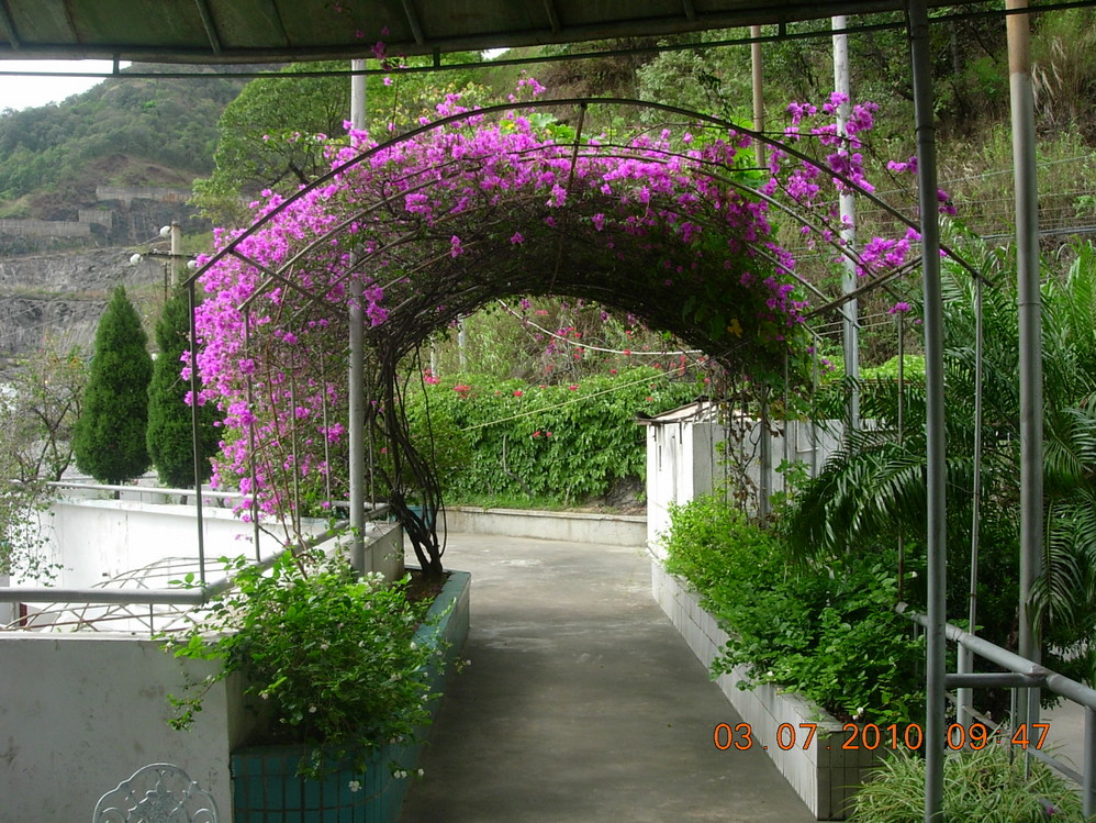 wKgBm03BG36gfvVGAAUDCEIEnIE97.jpeg?imageView2%2F2%2Fw%2F600%2Fq%2F90