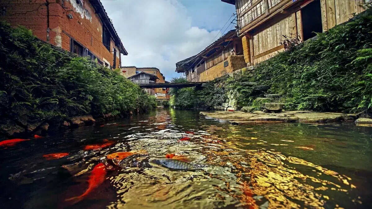 龙井gdp_新华网 五一 假期 龙井游客人数和旅游收入创新高 附龙井部分景区出游攻略(3)