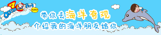 ---带你去海洋奇观,介绍我的海洋朋友给你 ---带你去海洋奇观,介绍我的海洋朋友给你