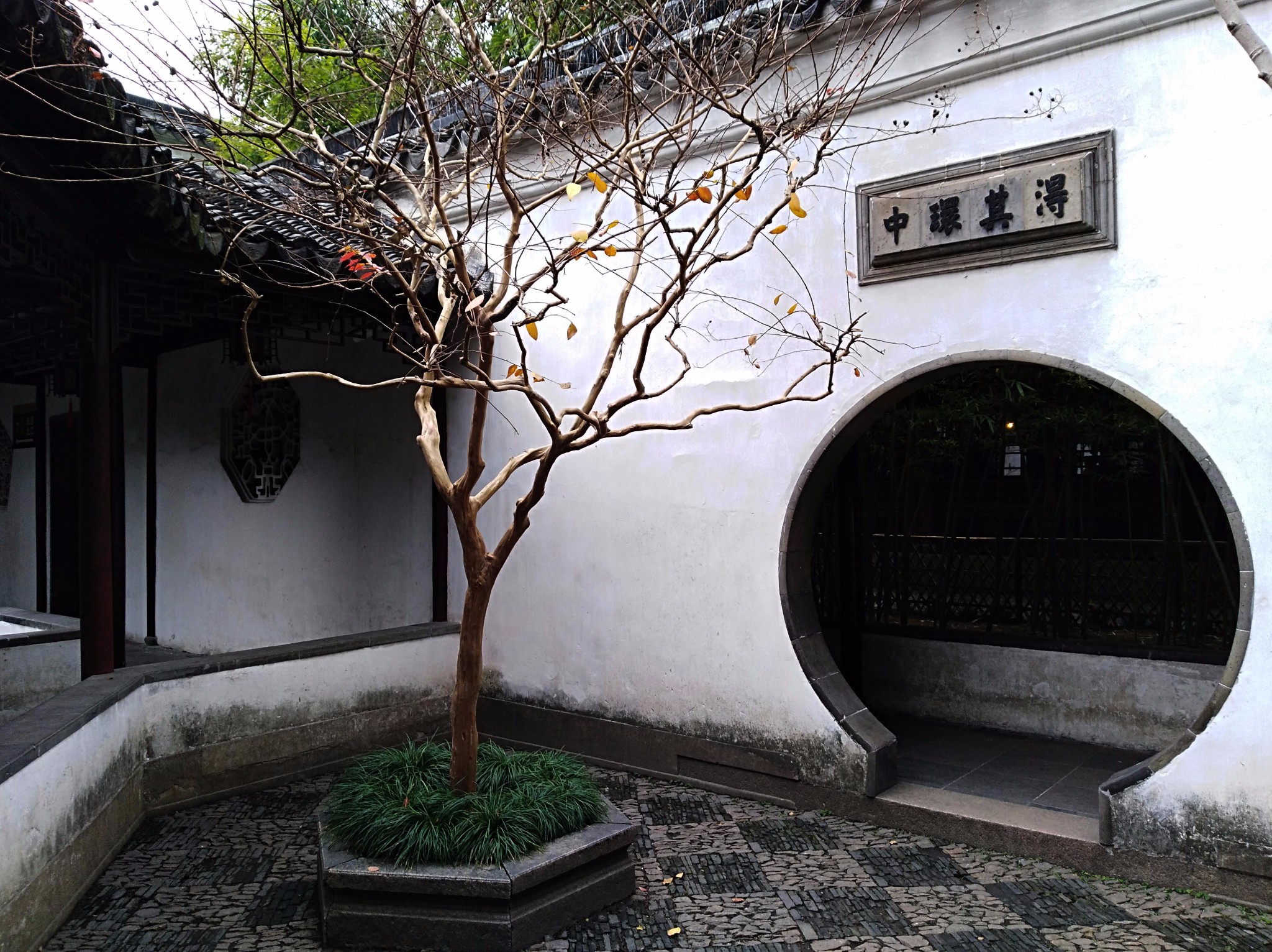 游苏州狮子林,苏州自助游攻略_江西旅游