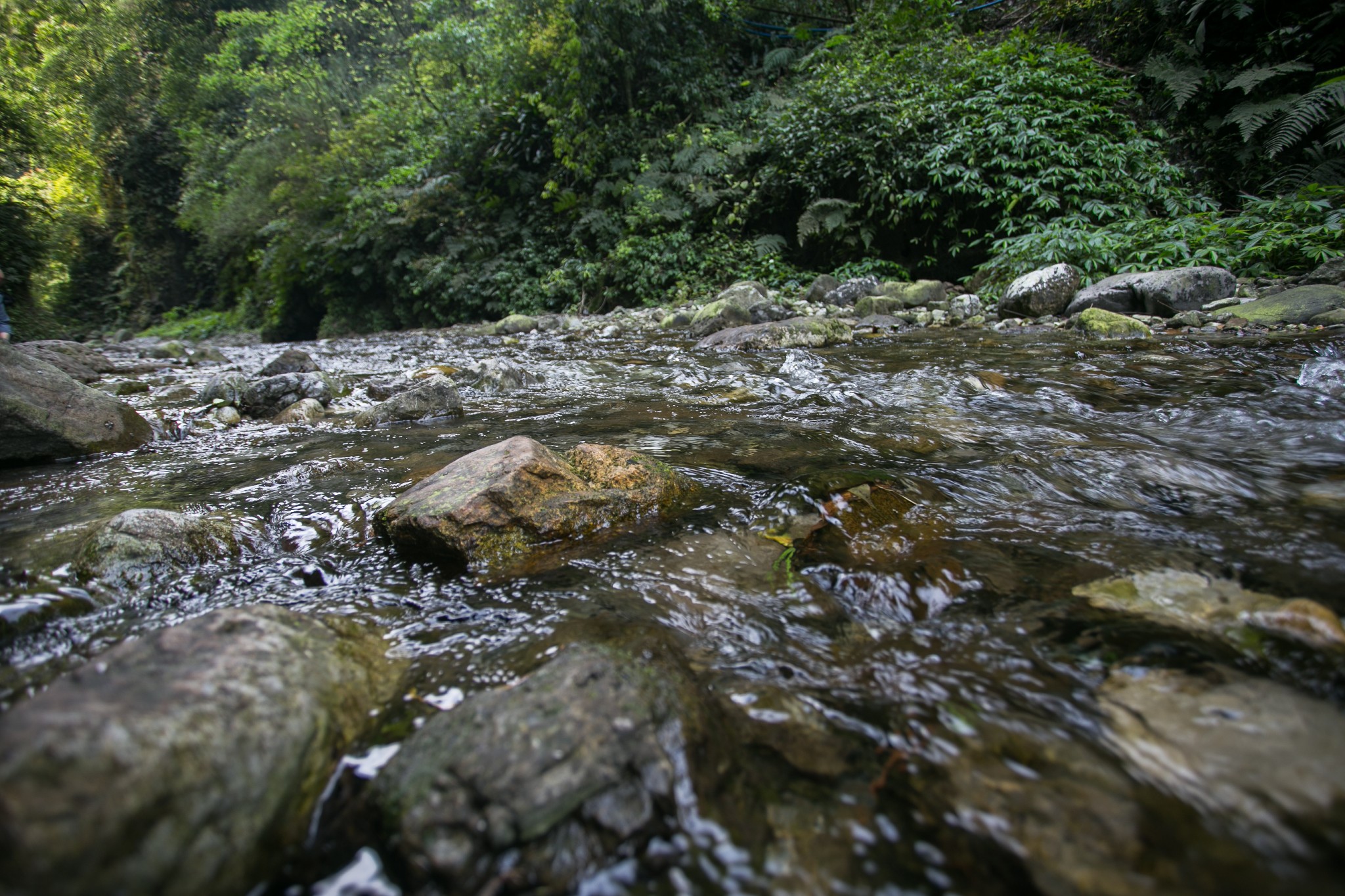 兩面險崖絕壁,斜插雲空,高200餘米,如同一座大山被利斧逢中劈開,透過