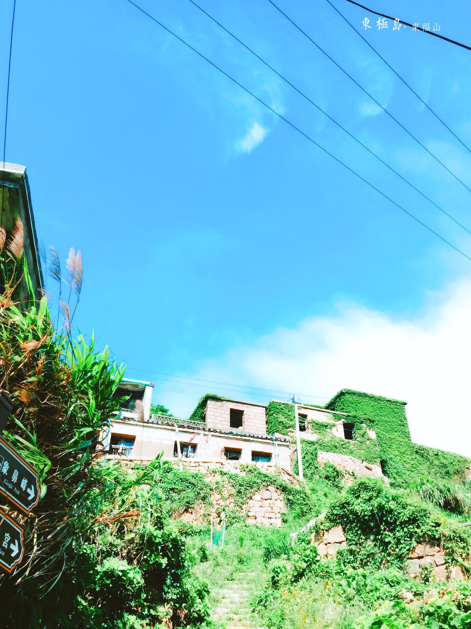 东极岛 丨 世界上的风,你我各一半