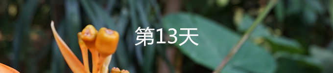 13 13