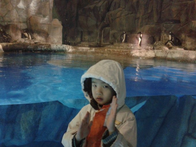 香港、澳门自由行(11天10晚超长亲子游,带小孩