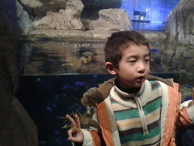 香港、澳门自由行(11天10晚超长亲子游,带小孩