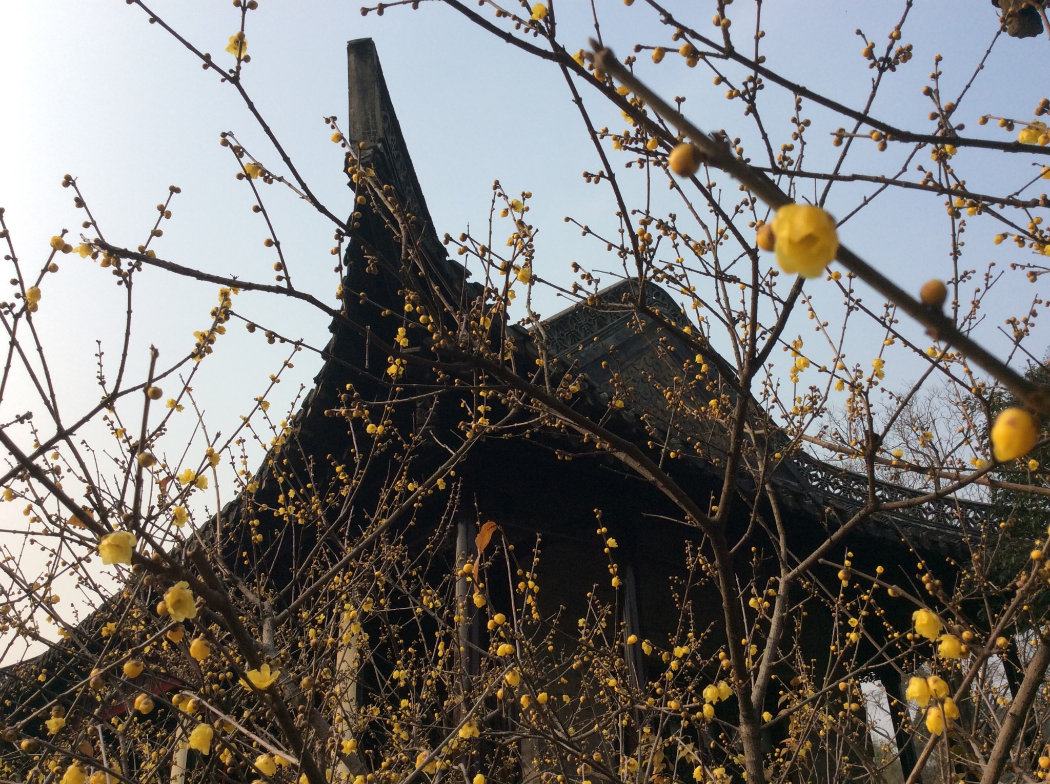 溢于什么成语_日什么月什么成语(3)
