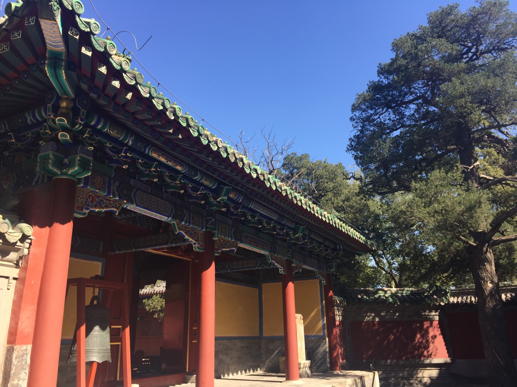 诗经尚书周礼仪礼礼记乐经猜成语_看图猜成语(2)