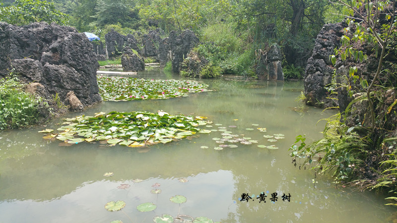 山水之间曲谱_微信头像风景山水