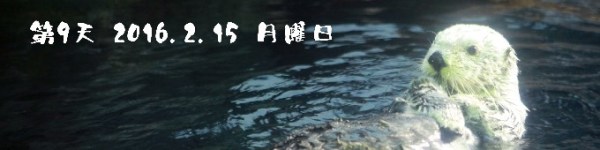第9天 2016.2.15 月曜日 第9天 2016.2.15 月曜日