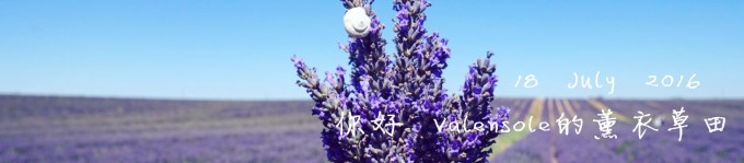 18 July 你好 Valensole的薰衣草田 18 July 你好 Valensole的薰衣草田
