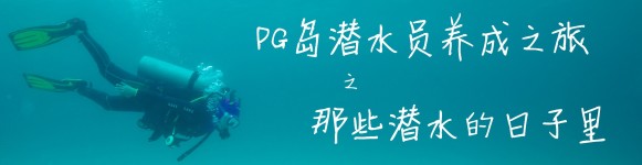 那些潜水的日子里 那些潜水的日子里
