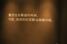 旅行的落幕 旅行的落幕
