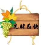 先睹为快 先睹为快