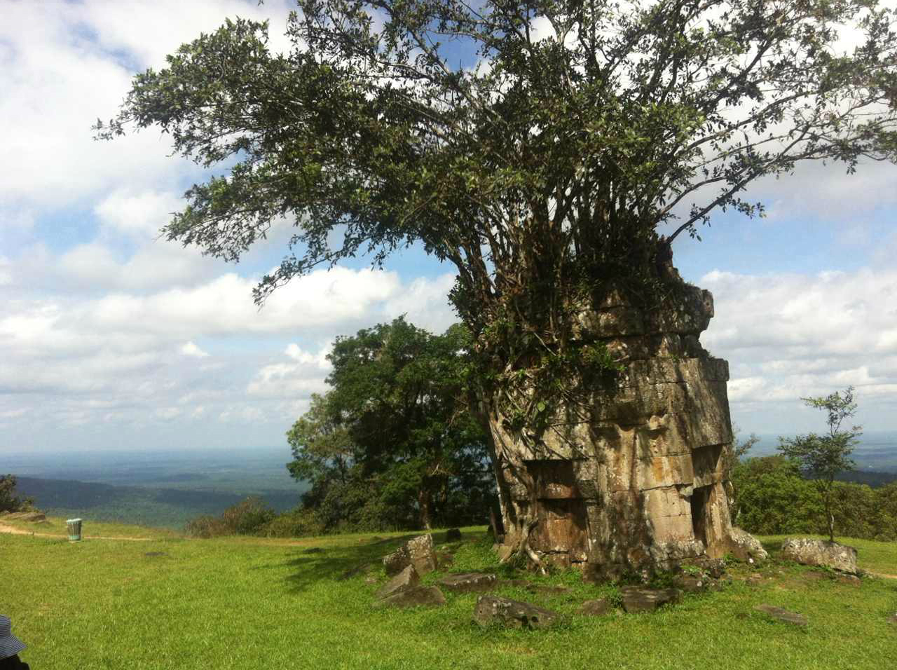 日本药妆品牌有哪些,日本药妆购买攻略 - 蚂蜂