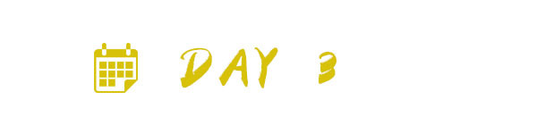 DAY 3 DAY 3