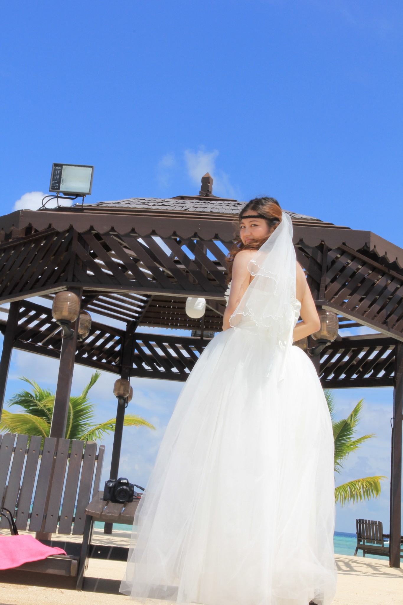 可以穿上婚纱的相机_卡通相机(2)