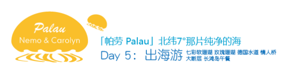 Day5 出海第3天 Day5 出海第3天