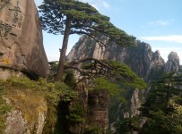 黄山 黄山