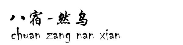 八宿----然乌 八宿----然乌