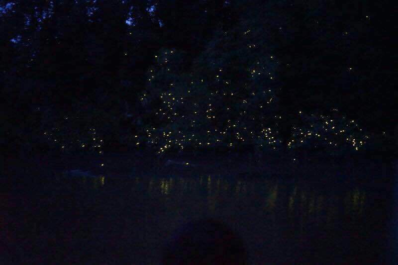 wKgBs1fJDDiACGZUAACrgB1bcsY79.jpeg?imageView2%2F2%2Fw%2F680%2Fq%2F90
