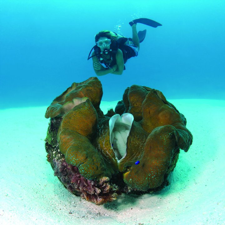 香港直飞帕劳5-6天自由行太平洋航空(酒店任意
