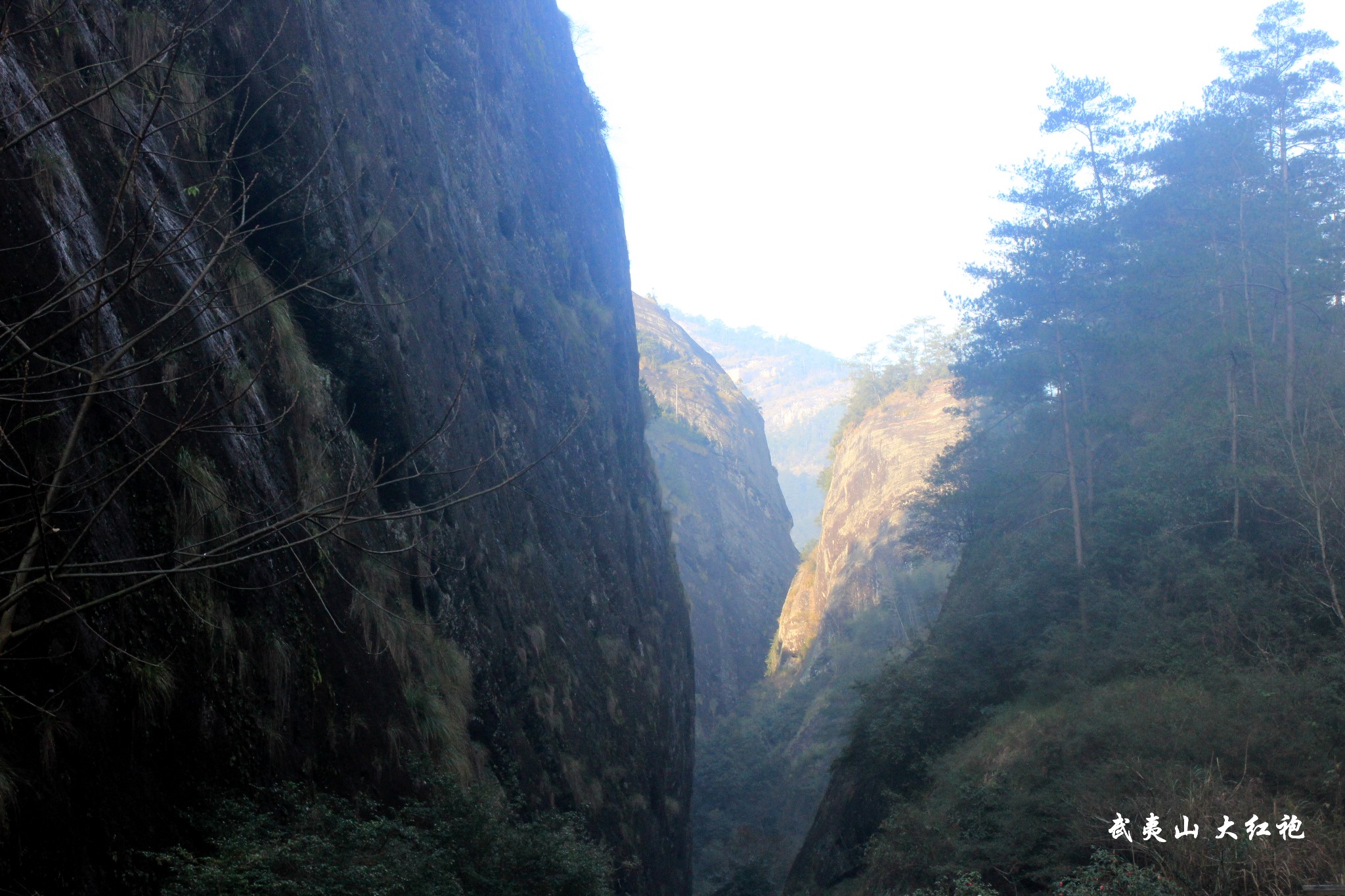 武夷山多少人口_冬无寒意,茶暖人心,武夷山陪你温暖入冬