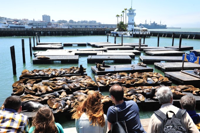 2016 美利坚就是大! -1- 旧金山市区和卡梅尔小