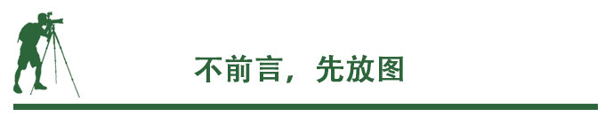 不前言 不前言