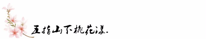 五指山下桃花漾. 五指山下桃花漾.
